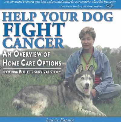 Help Your Dog Fight Cancer: An Overview of Home Care Options