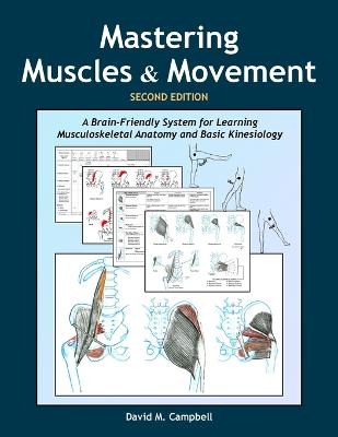 Mastering Muscles and Movement: A Brain-Friendly System for Learning Musculoskeletal Anatomy and Basic  Kinesiology 2nd ed.