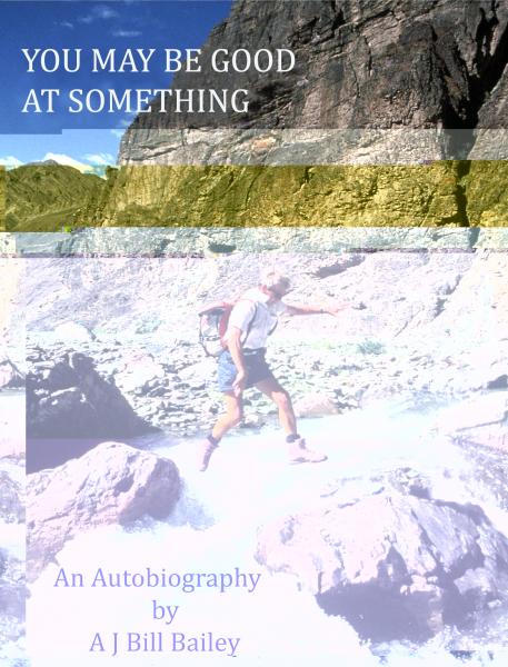 YOU MAY BE GOOD AT SOMETHING: an autobiography