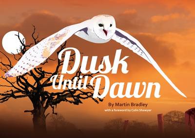 Dusk Until Dawn 2nd New edition