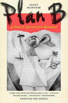 Plan B: A Poet's Survivors Manual