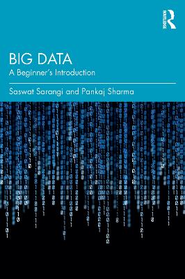 Big Data: A Beginner's Introduction