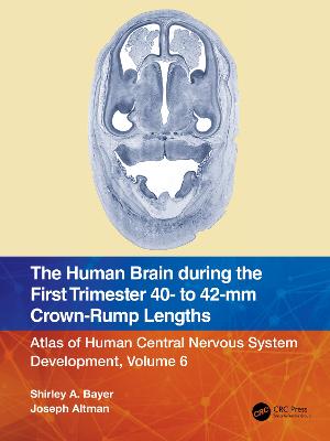 Human Brain during the First Trimester 40- to 42-mm Crown-Rump Lengths: Atlas of Human Central Nervous System Development, Volume 6