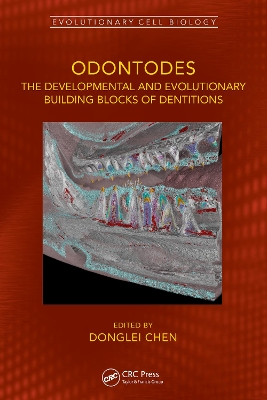 Odontodes: The Developmental and Evolutionary Building Blocks of Dentitions
