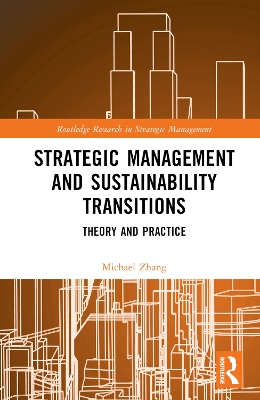 Strategic Management and Sustainability Transitions: Theory and Practice