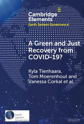 Green and Just Recovery from COVID-19?: Government Investment in the Energy Transition during the Pandemic