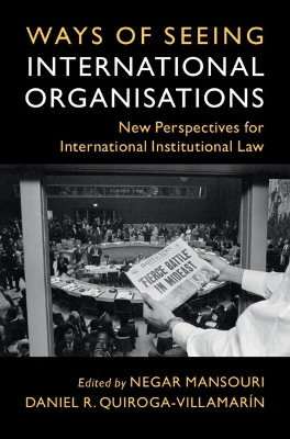 Ways of Seeing International Organisations: New Perspectives for International Institutional Law
