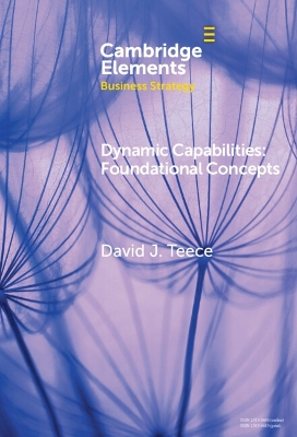 Dynamic Capabilities: Foundational Concepts