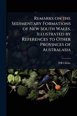 Remarks on the Sedimentary Formations of New South Wales, Illustrated by  References to Other Provinces of Australasia