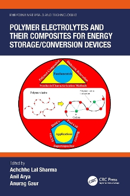 Polymer Electrolytes and their Composites for Energy Storage/Conversion  Devices