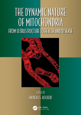 Dynamic Nature of Mitochondria: from Ultrastructure to Health and Disease