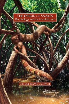 Origin of Snakes: Morphology and the Fossil Record