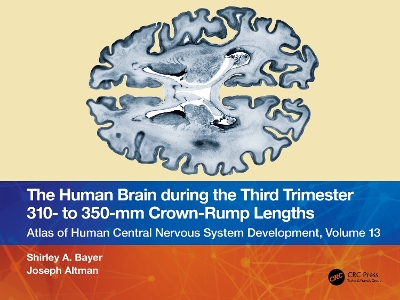 Human Brain during the Third Trimester 310 to 350mm Crown-Rump Lengths: Atlas of Central Nervous System Development, Volume 13