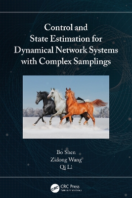 Control and State Estimation for Dynamical Network Systems with Complex  Samplings