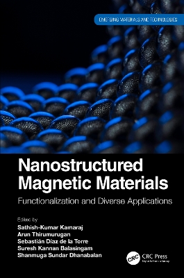 Nanostructured Magnetic Materials: Functionalization and Diverse Applications