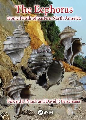 Ecphoras: Iconic Fossils of Eastern North America