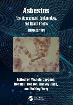 Asbestos: Risk Assessment, Epidemiology, and Health Effects 3rd edition