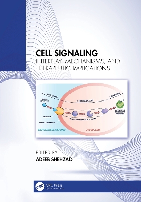 Cell Signaling: Interplay, Mechanisms, and Therapeutic Implications