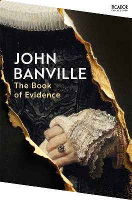 Book of Evidence