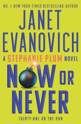 Now or Never: Stephanie Plum 31
