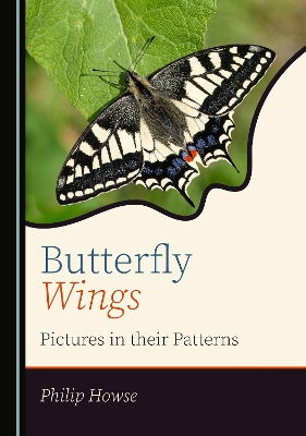 Butterfly Wings: Pictures in their Patterns