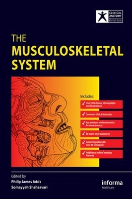 Musculoskeletal System