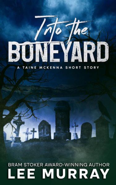 Into the Boneyard: Taine McKenna Adventures, #8