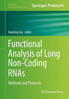 Functional Analysis of Long Non-Coding RNAs: Methods and Protocols 1st ed. 2021