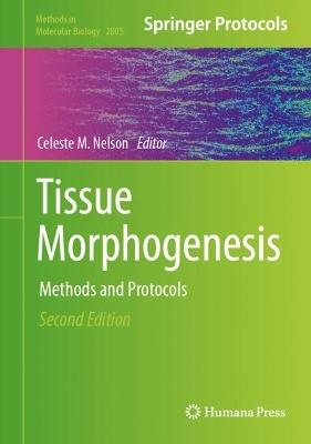 Tissue Morphogenesis: Methods and Protocols Second Edition 2024