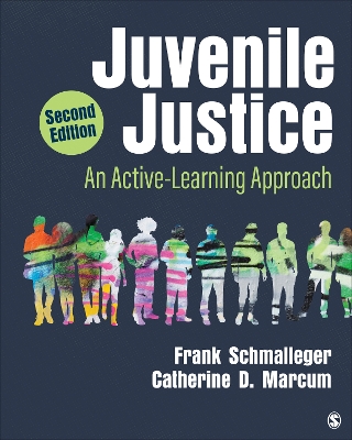 Juvenile Justice: An Active-Learning Approach 2nd ed.