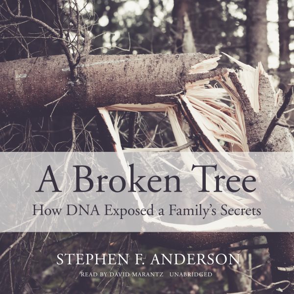 Broken Tree