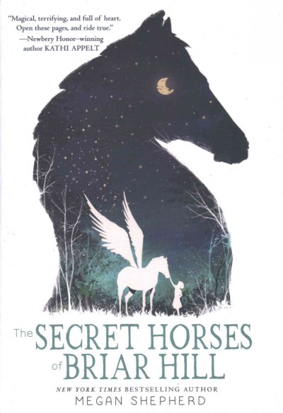 Secret Horses of Briar Hill