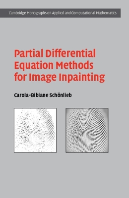 Partial Differential Equation Methods for Image Inpainting