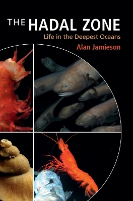 Hadal Zone: Life in the Deepest Oceans