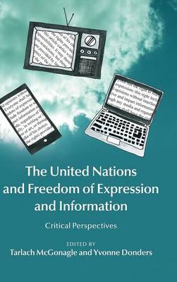 United Nations and Freedom of Expression and Information: Critical Perspectives