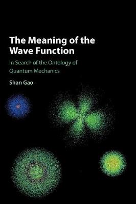 Meaning of the Wave Function: In Search of the Ontology of Quantum Mechanics