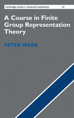 Course in Finite Group Representation Theory
