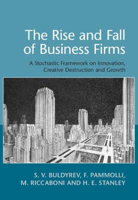 Rise and Fall of Business Firms: A Stochastic Framework on Innovation, Creative Destruction and Growth