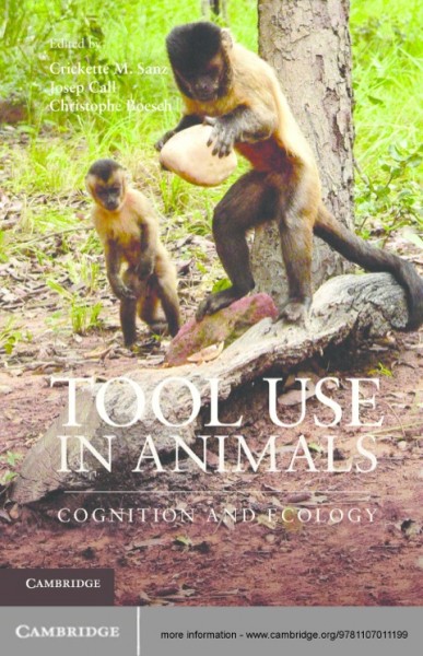 Tool Use in Animals: Cognition and Ecology
