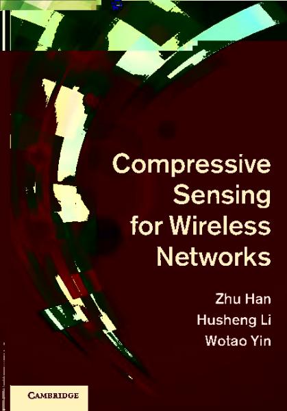 Compressive Sensing for Wireless Networks