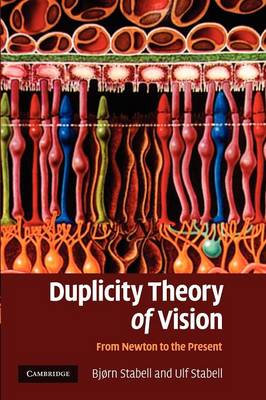 Duplicity Theory of Vision: From Newton to the Present