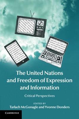 United Nations and Freedom of Expression and Information: Critical Perspectives