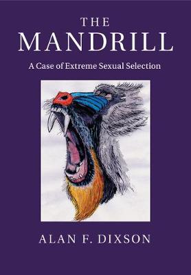 Mandrill: A Case of Extreme Sexual Selection