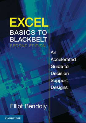 Excel Basics to Blackbelt: An Accelerated Guide to Decision Support Designs 2nd Revised edition