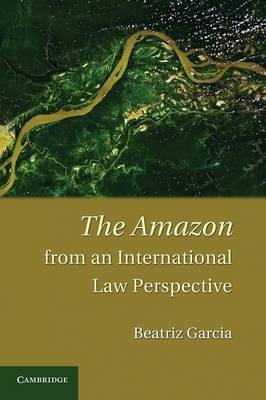 Amazon from an International Law Perspective