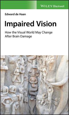 Impaired Vision - How the visual world may change after brain damage: How the Visual World May Change after Brain Damage