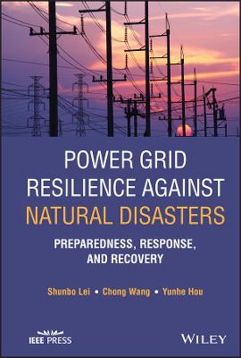 Power Grid Resilience against Natural Disasters - Preparedness, Response,   and Recovery