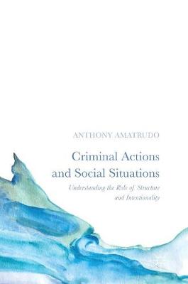 Criminal Actions and Social Situations: Understanding the Role of Structure and Intentionality 2018 ed.