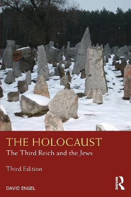 Holocaust: The Third Reich and the Jews 3rd edition