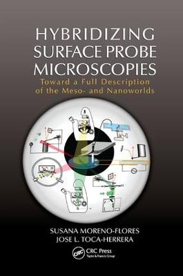 Hybridizing Surface Probe Microscopies: Toward a Full Description of the Meso- and Nanoworlds